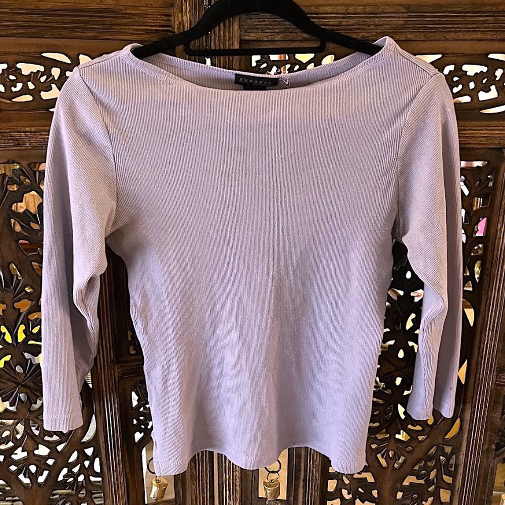 EXPRESS WORLD BRAND LIGHT PASTEL BLUE LONG SLEEVE BLOUSE MEDIUM